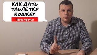 КАК ДАТЬ ТАБЛЕТКУ КОШКЕ? ЧАСТЬ ТРЕТЬЯ