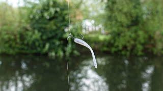 Micro Dropshot Catches BIG Canal Fish!