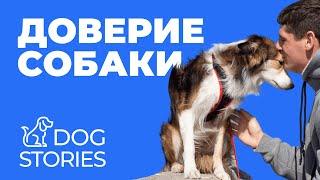 Доверие собаки  Что такое доверие и в чем оно выражается?  Как понять что щенок доверяет хозяину 