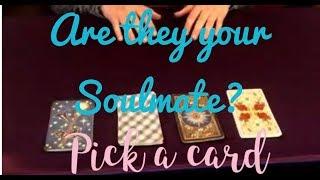 Are they your Soulmate?  |  Pick A Card | Tarot By Aliyah