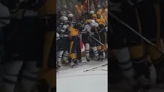 Crazy NHL hockey fight.