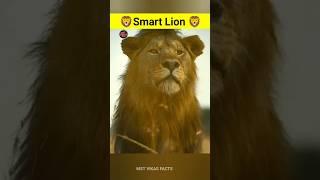 Smart Lions  Amazing Facts #facts #shorts #factmate #amazingfacts #factminerandomfacts