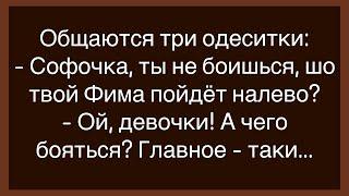 Как Муж Ставил Капкан В Шкафу! Сборник Свежих Анекдотов! Юмор! Настроение!