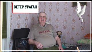 Голуби Геннадий Мацинов ( ветер ураган) станица Кагальницкая!