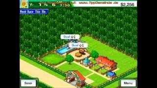 Pocket Stables - Gameplay AppGemeinde