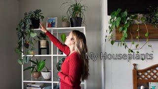 Houseplant Collection Tour 2022!