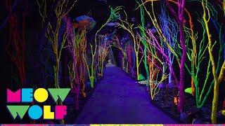 The Meow Wolf Experience | Meow Wolf