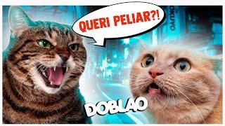 QUERI PELIAAAR?  | DOBLAO