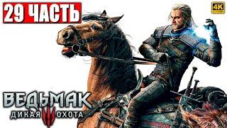 ПОЛНОЕ ПРОХОЖДЕНИЕ ВЕДЬМАК 3 RTX [4K]  Часть 29  The Witcher 3 Wild Hunt На Русском  На ПК