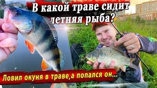 Ловля окуня в жаркую погоду | Микроджиг и приманки Jara baits | В какой траве сидит окунь в жару?