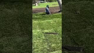 Second house of the season. Laying down fresh sod. #Sod #Landscaping