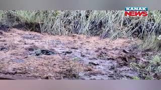 Controversial Oil Leak From IOC Pipeline: Suspicions Of Oil Theft In Paradip