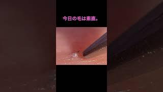 素直に抜けてくれる毛 #毛抜き