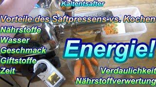 Strom sparen mit Rohkost? So leicht senke ich Energie- & Krankheitskosten in der Küche! Bleib gesund