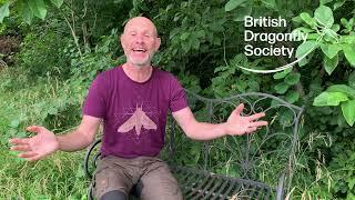 Mike Dilger Message State of Dragonflies in Britain and Ireland 2021