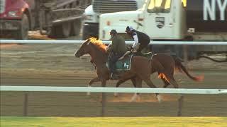 6.14.20 Tiz the Law final work for 2020 Belmont Stakes