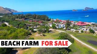 LFS 133: BEACH and FARM LOT for sale in the Philippines | Php 10,000 per sqm