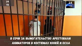 В Сочи за вымогательство арестовали аниматоров в костюмах коней и осла