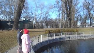 Городской сад. Кременчуг. Весна 2019. Оживление на озере