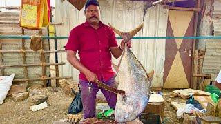 $50 £40 ₹3800 KASIMWDU SELVAM FISH CUTTING FISH CUTTING | FISH CUTTING | #KASIMEDU | UK SONS MARINE