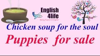 English4life - Learn English through Chiken soup for the soul | Puppies  for sale