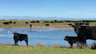 For Sale | Mundoo Island, Ewe Island and Long Island, South Australia