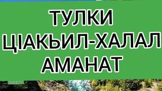 ТУЛКИ-ЦIАКЬИЛ-ХАЛАЛ АМАНАТ