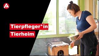 Tierpfleger*in Tierheim und Tierpension