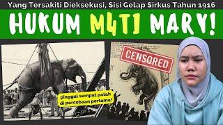 SISI GELAP SIRKUS DI TAHUN 1916, EKSEKUSI GAJAH MARY YANG TRAGIS || #diluarlaut