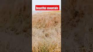 Beautiful mountain #jeemain #jee