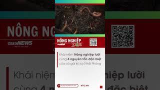 4 nguyên tắc làm "nông nghiệp lười" của cô kỹ sư Hải Phòng #nongnghiepdothi #nguyentac #haiphong