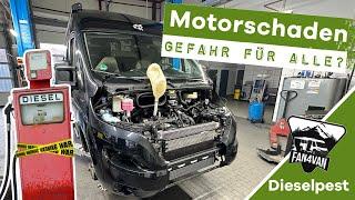 Dieselpest Motorschaden - 32´000€ Schaden  so schnell kann´s gehen!