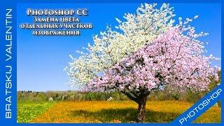 Photoshop CC 2015 Замена цвета  отдельных участков  изображения