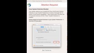 Apple MacOS 11 Big Sur Cisco system extension blocked Anyconnect Any Connect issue problem fix