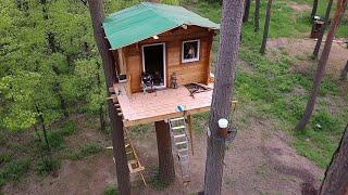 Man Builds DIY TREEHOUSE 16ft HIGH in the Forest | Start to Finish by @Wild_Hammer