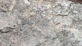 Relaxing reiki video