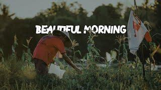 Beautiful Morning in Nature - Cinematic Video