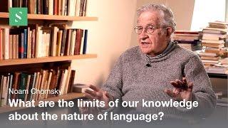 Language Design - Noam Chomsky / Serious Science