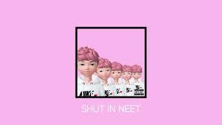 Lil Joof - SHUT IN NEET