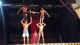 The Worriors Acrobats