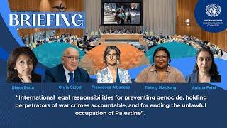 Consider Suspending Israel as UN Member State, Experts Tell UN Palestinian Rights Committee