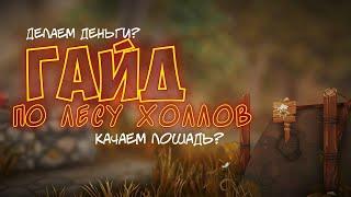 ГАЙД ПО ЛЕССУ ХОЛЛОВ|КАК ЗАКРЫТЬ КАМЕНЬ?|STAR STABLE