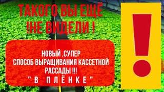 Новая технология выращивания кассетной рассады в плёнке