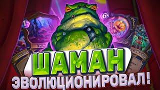 Шаман Эволюционировал! Новый Шаман на эволюции снова в ладдере! | Hearthstone -  Аудиопокалипсис