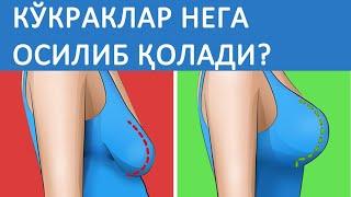 КЎКРАКЛАР НЕГА ОСИЛИБ ҚОЛАДИ? УНИ ҚАНДАЙ ТИКЛАШ МУМКИН?