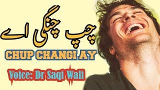 Punjabi Shayari Chup Changi Ay By Dr Saqi Wali l Punjabi Poetry l Whatsapp Stuats Videos l Tiktok