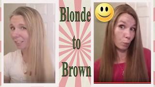 Going From Blonde to VS 6/3 LIGHT GOLD BROWN Home Hair Dye DIY