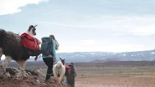 Capitol Reef Experience