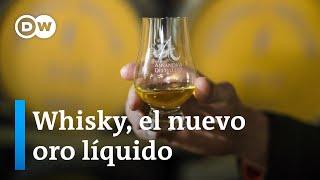 Los inversores se embriagan con la rentabilidad del whisky escocés