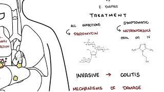 Amebiasis - entamoeba histolytica symptoms, pathophysiology, diagnosis, treatment